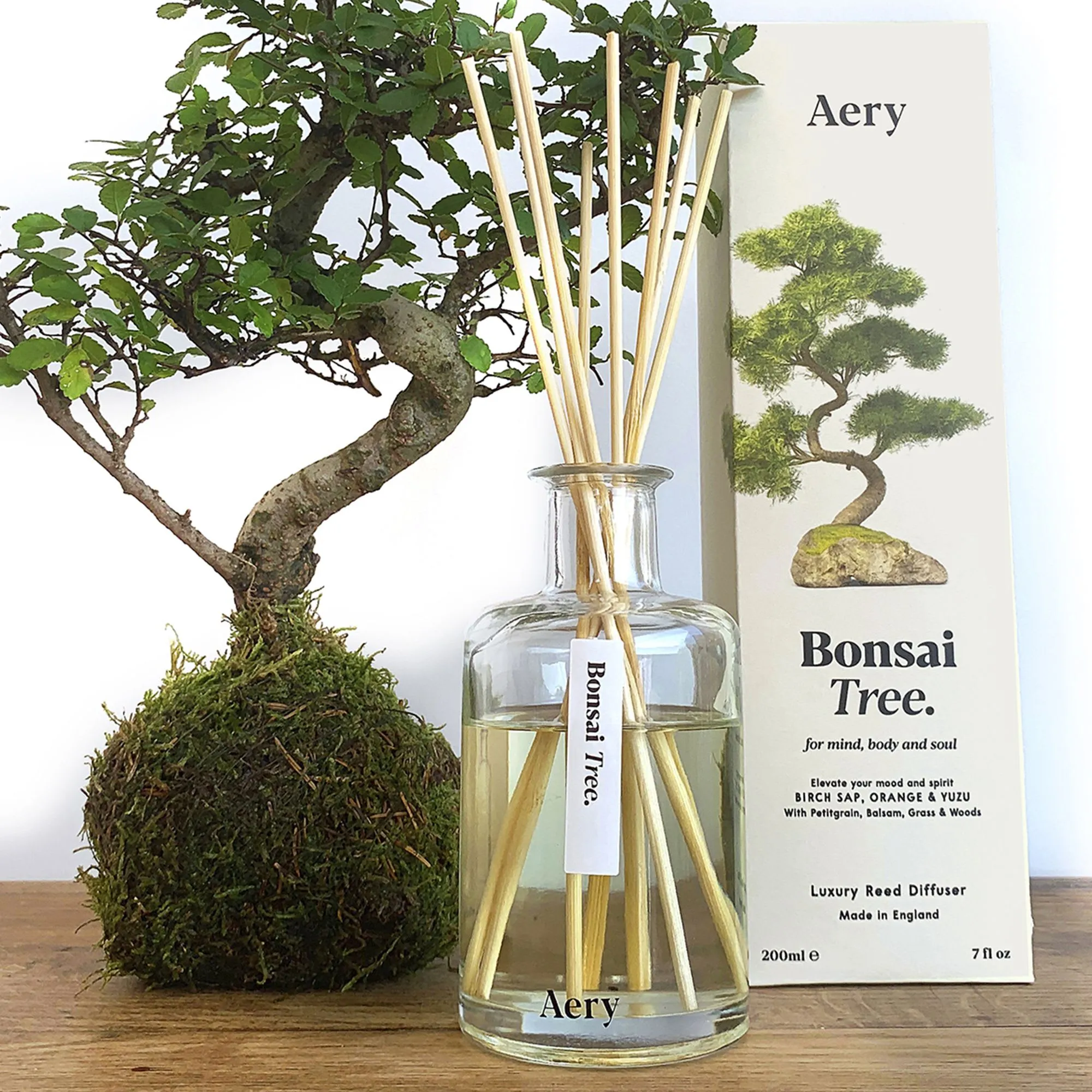 Aery Living Botanical Reed Diffuser 200ml Bonsai Tree