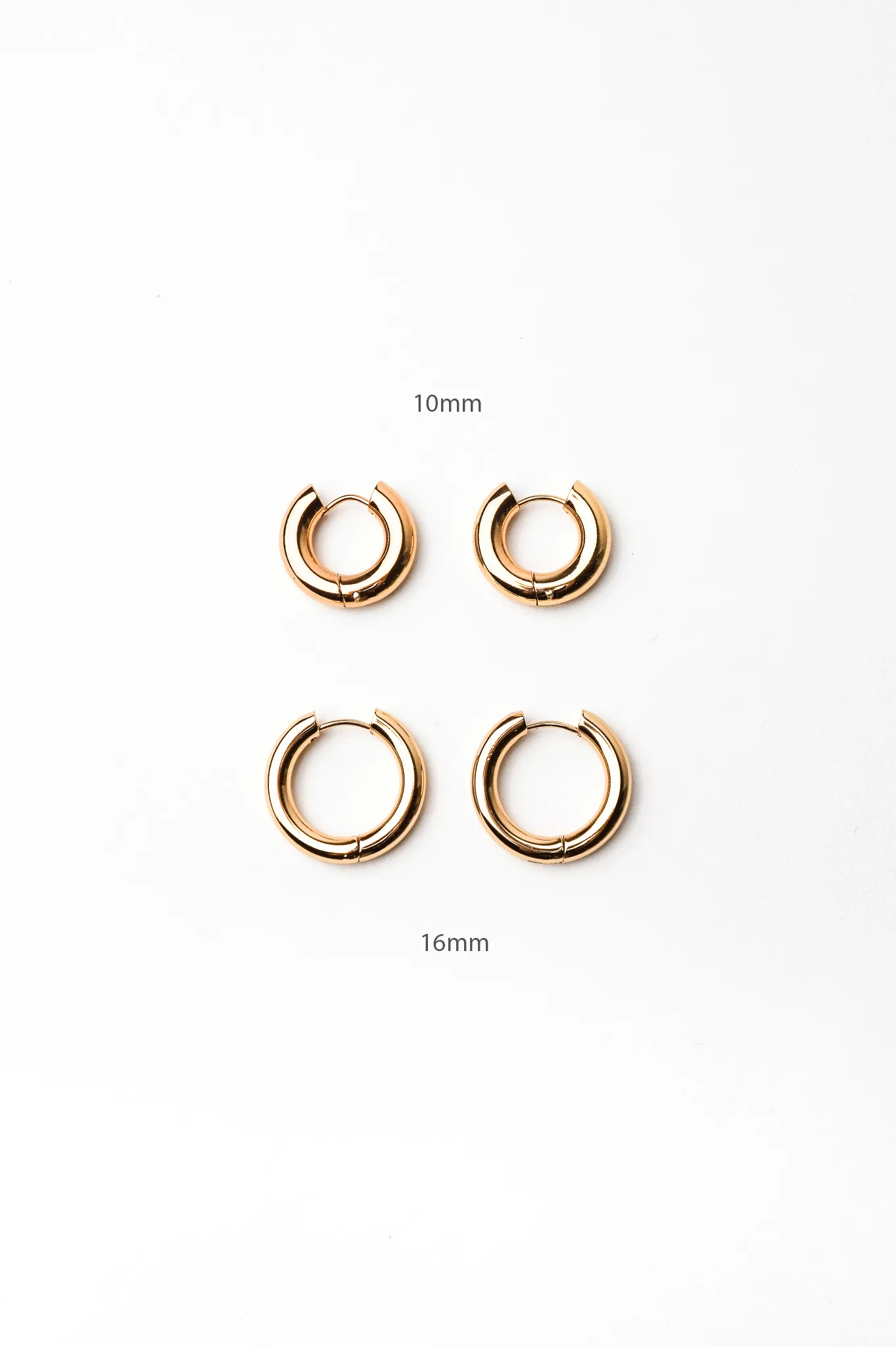 Blanca Bold Essential Hoop Earrings