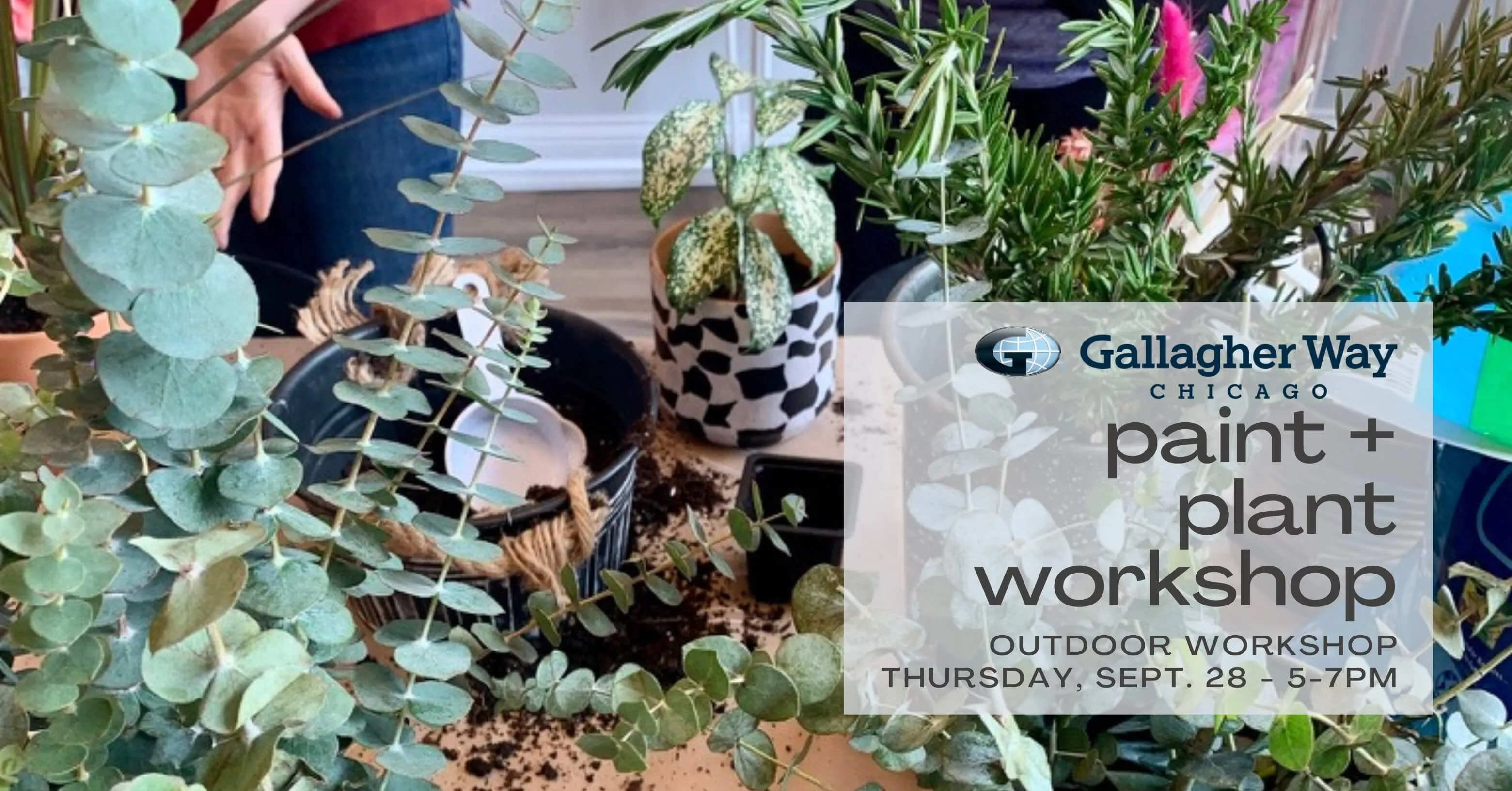 Paint   Plant Workshop @ Gallagher Way - Sept. 28