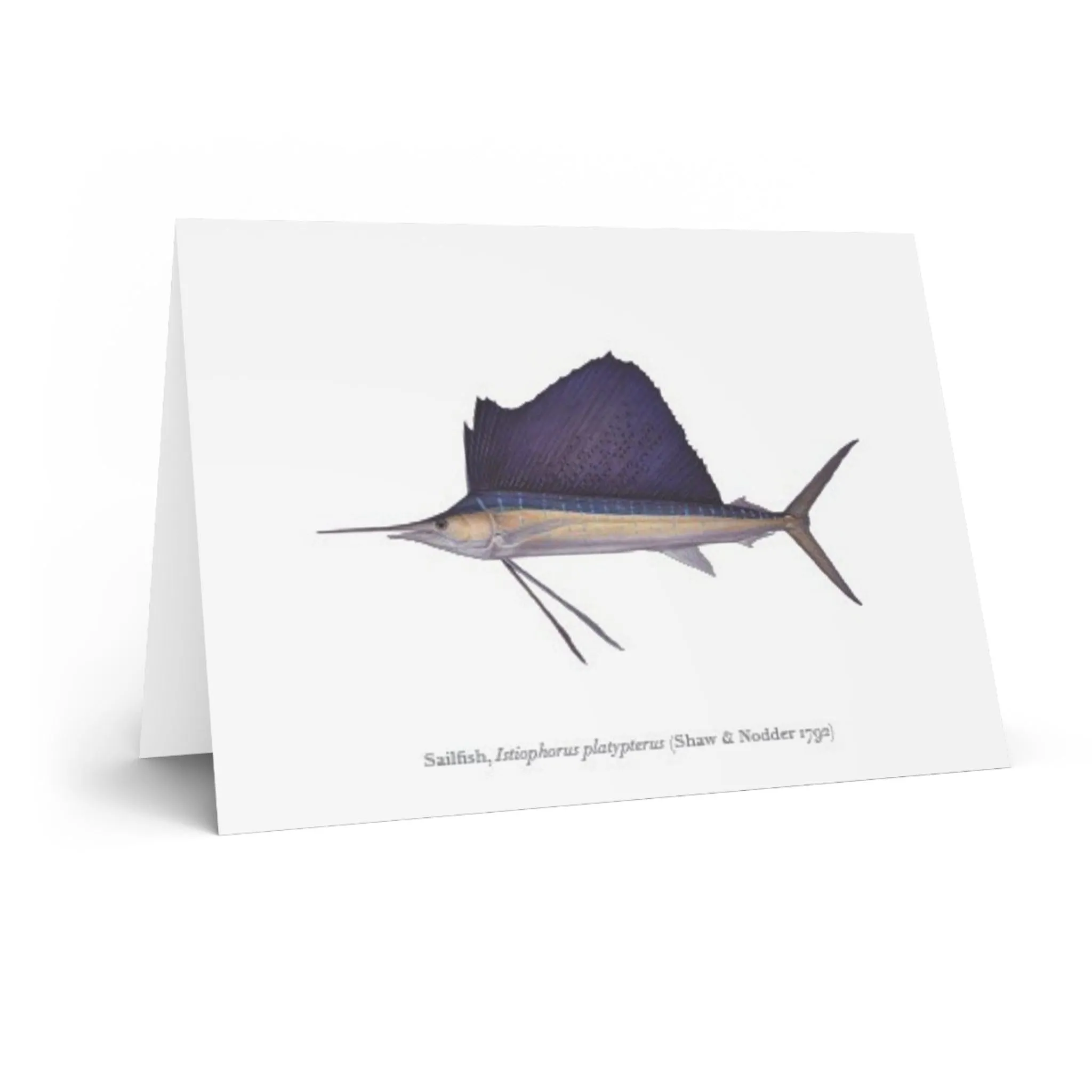 Sailfish Greeting Card