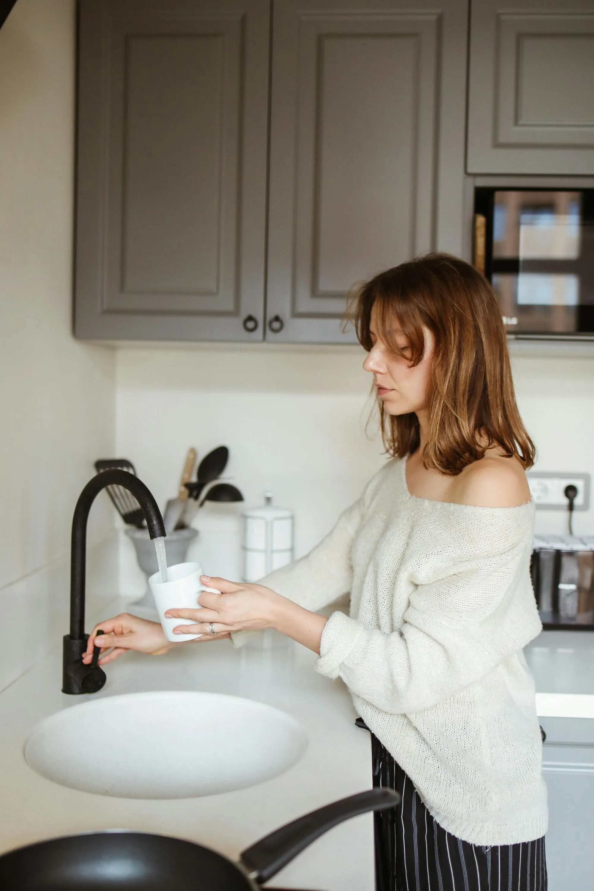 Sink Revitalizer with Filtration