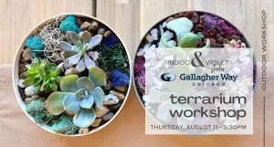 Terrarium Workshop @ Gallagher Way - August 11