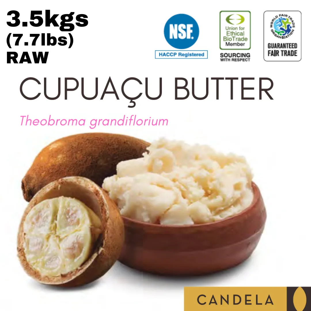 Wholesale Fair Trade Cupuaçu Butter