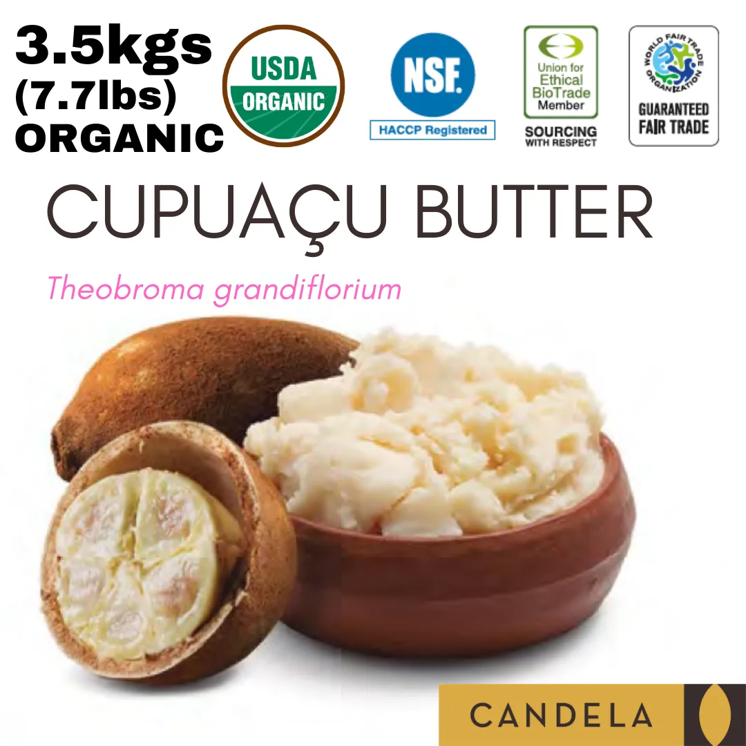 Wholesale Fair Trade Cupuaçu Butter